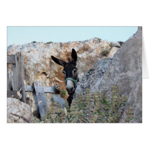 Lindos Donkey