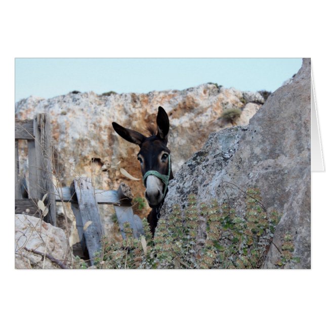 Lindos Donkey (Devant horizontal)