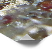 Linear Blenny Poster (Hoek)