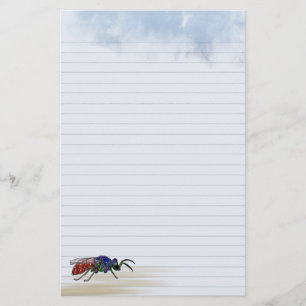 Lined Cuckoo Wasp Briefpapier