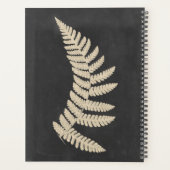 Linen Fern (Dos)
