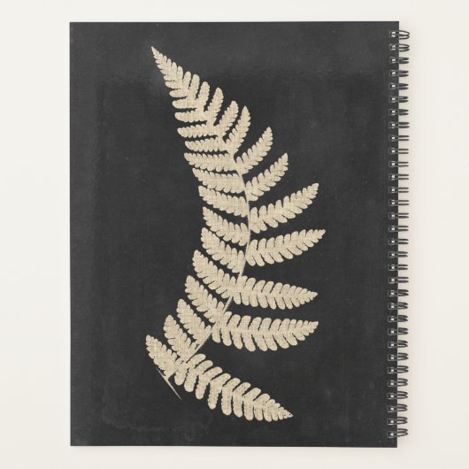 Linen Fern (Dos)