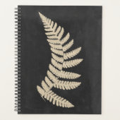 Linen Fern (Devant)