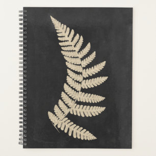 Linen Fern