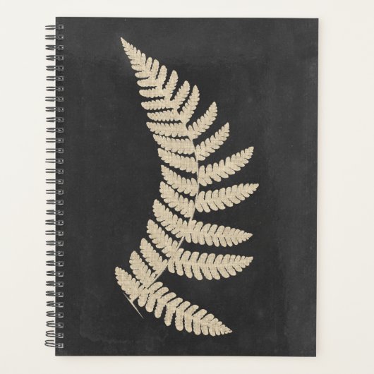 Linen Fern (Devant)