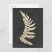 Linen Fern Briefkaart (Voorkant / Achterkant)