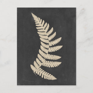 Linen Fern Briefkaart