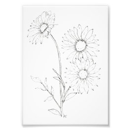 Lines & Petals Foto Afdruk