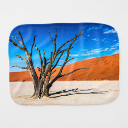 Linge De Bébé Arbre mort à Deadvlei, Namibie
