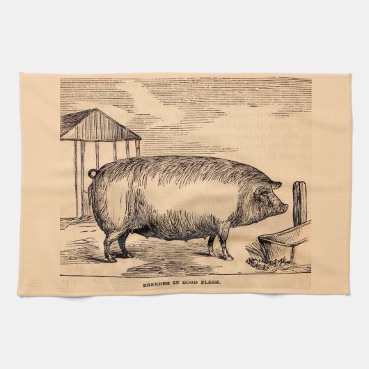 Linge De Cuisine 19th century pit 'Breeder in Good Flesh' (Horizontal)