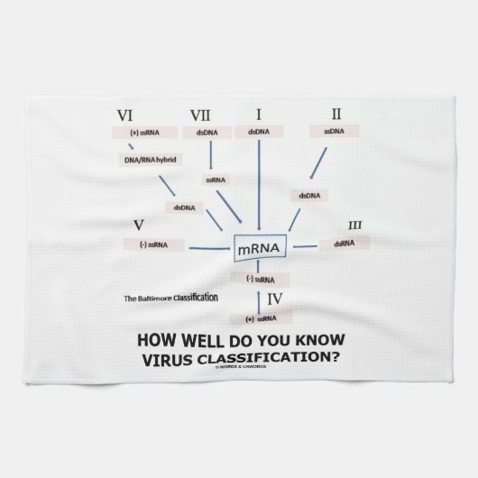 Linge De Cuisine À quel point savez-vous la classification de virus (Horizontal)