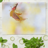 Linge De Cuisine Abeille Sur Une Fleur De Cerise (Plié)