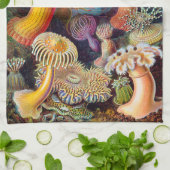 Linge De Cuisine Actinie d'Ernst Haeckel Actiniaea (Plié)