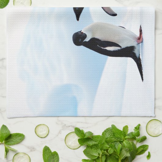 Linge De Cuisine Adelie Penguins (Plié)