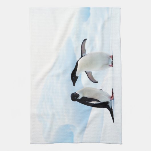 Linge De Cuisine Adelie Penguins (Vertical)