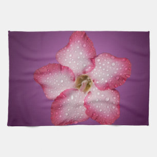 Linge De Cuisine Adénium Fleur Rose Flore Dégradé Violet