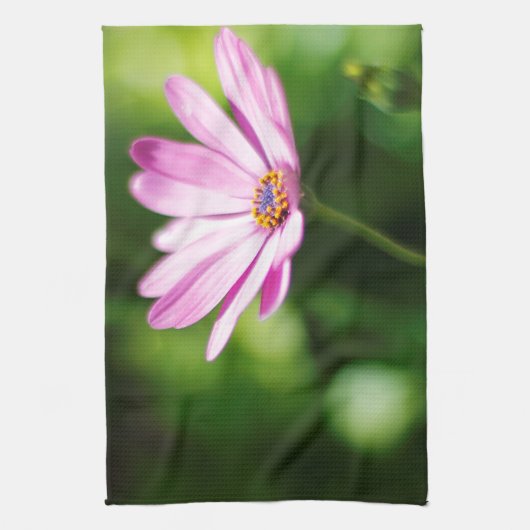 Linge De Cuisine African daisy (Vertical)