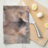 Linge De Cuisine Afrique, Botswana, delta de l'Okavango. Lions (Quart Plié)