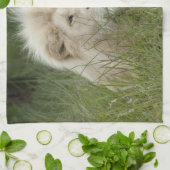 Linge De Cuisine Afrique du Sud, East London, Inkwenkwezi Private (Plié)