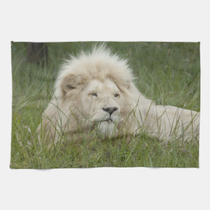 Linge De Cuisine Afrique du Sud, East London, Inkwenkwezi Private