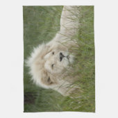 Linge De Cuisine Afrique du Sud, East London, Inkwenkwezi Private (Vertical)