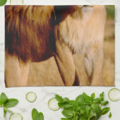 Linge De Cuisine Afrique, Namibie, Okonjima. Lion & Lion (Plié)