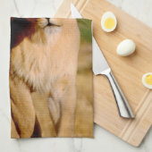 Linge De Cuisine Afrique, Namibie, Okonjima. Lion & Lion (Quart Plié)