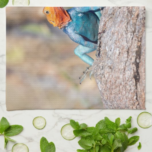 Linge De Cuisine Agama commun (Plié)