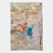 Linge De Cuisine Agama commun (Vertical)