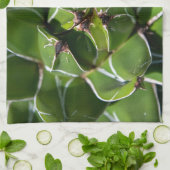 Linge De Cuisine Agave Victoria Succulente (Plié)