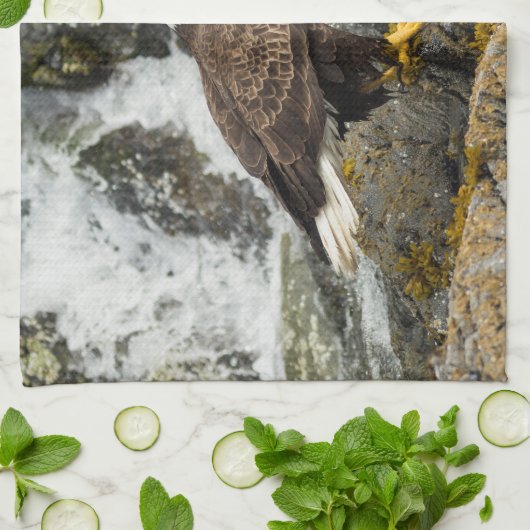 Linge De Cuisine Aigle à tête blanche (Plié)