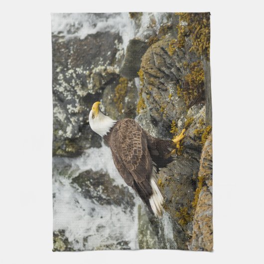 Linge De Cuisine Aigle à tête blanche (Vertical)