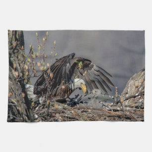 Linge De Cuisine Aigle avec son bébé