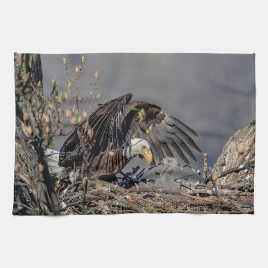 Linge De Cuisine Aigle avec son bébé (Horizontal)