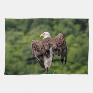 Linge De Cuisine Aigle de Bald sur une branche