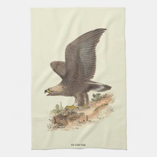 Linge De Cuisine Aigle d'or (Aquila chrysaetos) NY Bird Image