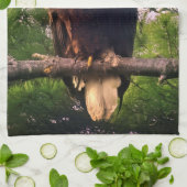 Linge De Cuisine Aigle mûr perché dans l'arbre À feuillage persista (Plié)