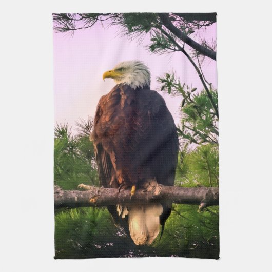 Linge De Cuisine Aigle mûr perché dans l'arbre À feuillage persista (Vertical)