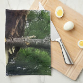 Linge De Cuisine Aigle mûre majestueux perché dans l'arbre (Quart Plié)