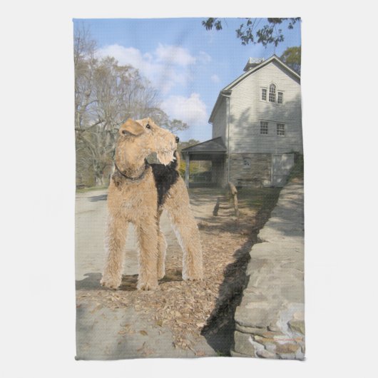 Linge De Cuisine Airedale dans la cour de la ferme (Vertical)