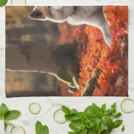 Linge De Cuisine Akita en automne Feuilles automne s'inspire (Plié)