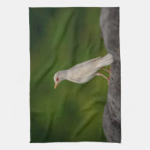 Linge De Cuisine Albino Robin dans Crown Point (Vertical)