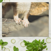 Linge De Cuisine Alerte Weasel (Plié)