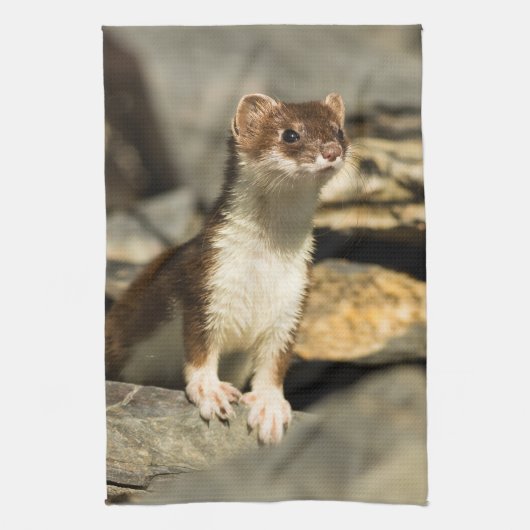 Linge De Cuisine Alerte Weasel (Vertical)