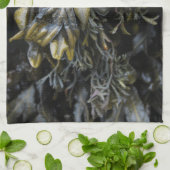 Linge De Cuisine Algue (Plié)