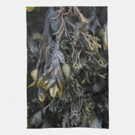 Linge De Cuisine Algue (Vertical)