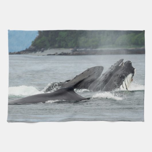 Linge De Cuisine Alimentation des baleines à bosse (Horizontal)