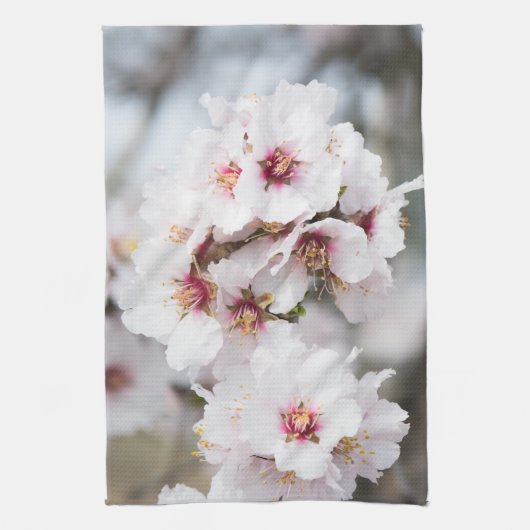 Linge De Cuisine Amande fleurie (Vertical)
