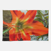 Linge De Cuisine Amaryllis Closeup Kitchen Towels (Horizontal)