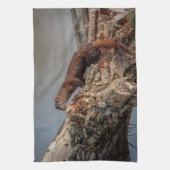 Linge De Cuisine American Mink (Vertical)